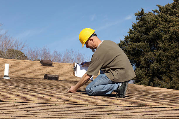 Best Asphalt Shingle Roofing  in Wildwood, TN